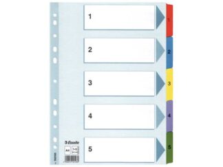 20 stk. Register Esselte Mylar A4 1-5 Flerfarvet - Esselte